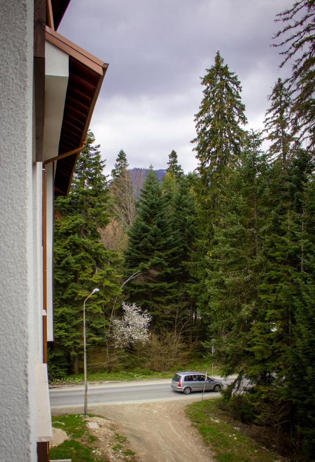 Borovets Gardens Studio 外观 照片